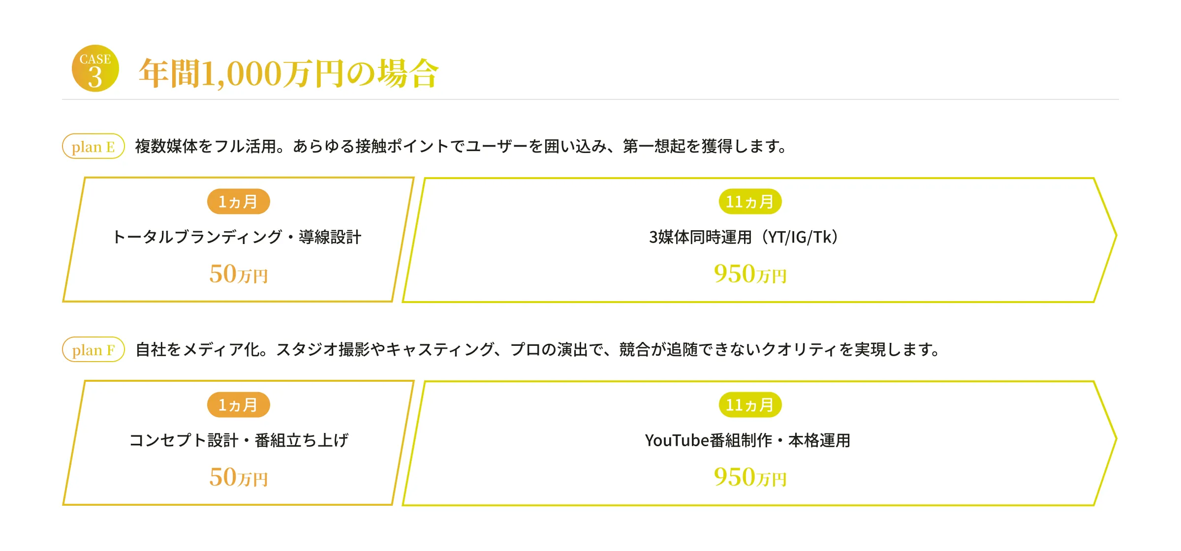 年間1,000万円の場合｜SNS支援ロードマップ